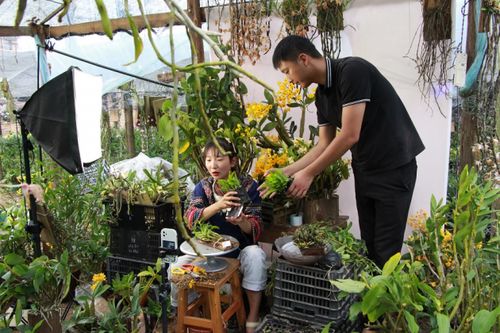 90后小伙解鎖電商密碼，云南龍陵花卉年銷突破千萬元